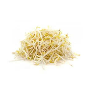 Brote de soja (x 500g.)