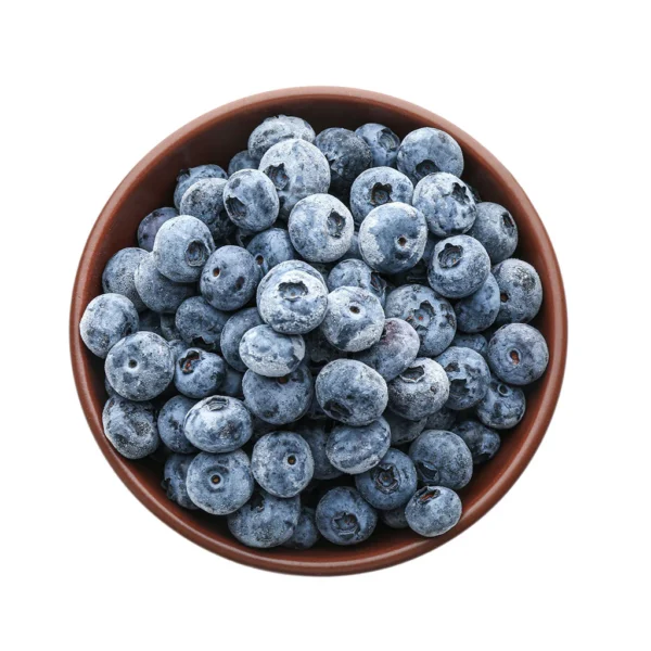 ARÁNDANOS 750G QÜEM